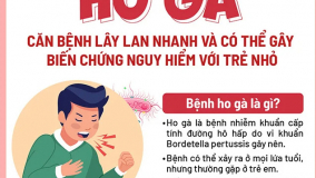 Infographic: Bệnh ho gà lây lan nhanh và có thể gây biến chứng ở trẻ nhỏ