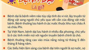 Infographic: Bệnh dại là gì?