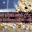 Ăn sáng bằng ngũ cốc thô để phòng chống bệnh mãn tính