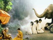 Trong cuộc đời, không phải cứ toan tính là có được