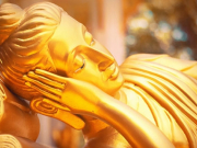Phật dạy: Muốn thương phải hiểu. Sống để yêu thương