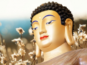 Lời Phật dạy: Xả đi “THAM – SÂN – SI” sẽ tự tìm thấy niềm an vui và thanh thản