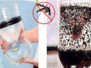 Tự làm bẫy muỗi đơn giản bằng vỏ chai nhựa