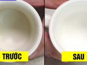 Tẩy vết ố trên cốc sứ trong chớp mắt cực hiệu quả với 3 nguyên liệu 'cho không'