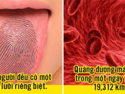 21 sự thật thú vị về cơ thể người mà bạn chưa biết, mỗi người đều có một vân lưỡi riêng biệt