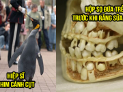 13 hình ảnh thể hiện góc nhìn khác về thế giới của chúng ta