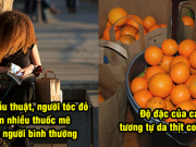 9 sự thật từ kinh dị tới thú vị đảm bảo 90% người chưa biết: Tại sao không nên gọi tên người vừa bị tai nạn ô tô?