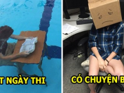 20 trường hợp thể hiện sự bình tĩnh phi thường trong những hoàn ảnh éo le