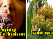 9 tin đồn thất thiệt từng được chia sẻ ầm ĩ trên mạng, đến giờ bạn vẫn tin đó là sự thật