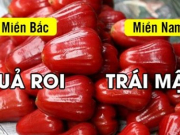 15 sự khác biệt vô cùng thú vị trong ngôn ngữ 2 miền Bắc - Nam