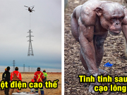 19 hình ảnh giải mã những điều bí ẩn trên thế giới mà chắc chắn nhiều người trong chúng ta đều đã từng thắc mắc