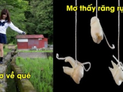 9 giấc mơ báo hiệu điềm gở mà ai cũng cần biết, thậm chí nguy hiểm tới bản thân