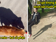 24 bức ảnh cho thấy bóng tối ập đến thì mọi thứ thay đổi, liệu đây mới là bản chất?
