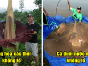 19 bức ảnh cho thấy con người nhỏ bé ra sao trước thế giới rộng lớn: Số 16 thực sự choáng ngợp
