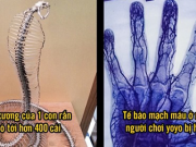 16 sự thật khiến bạn 'rớt hàm', số 14 là nhạc cụ tạo âm thanh ghê rợn trong phim kinh dị