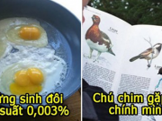 22 sự trùng hợp ngẫu nhiên bạn sẽ không bao giờ gặp lần thứ hai trong đời