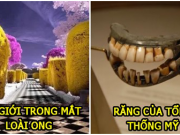 28 bức ảnh cực hiếm sẽ khiến bạn phải lặng người về thế giới mình đang sống