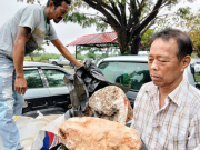 Nhặt cục đá sần sùi ngoài biển về, lão ngư nghèo bỗng đổi đời khi biết đó là 'báu vật biển cả'