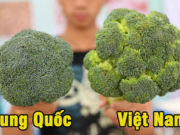 20 cách phân biệt thực phẩm Trung Quốc và Việt Nam – Cần biết để bảo vệ sinh mạng cả gia đình mình