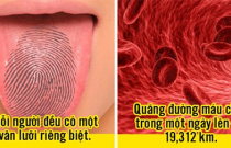 21 sự thật thú vị về cơ thể người mà bạn chưa biết, mỗi người đều có một vân lưỡi riêng biệt