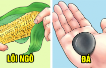 11 thứ con người từng dùng để 'giải quyết hậu quả' trước khi có giấy vệ sinh, cái cuối cùng đảm bảo khiến bạn choáng toàn tập