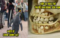 13 hình ảnh thể hiện góc nhìn khác về thế giới của chúng ta