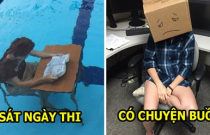 20 trường hợp thể hiện sự bình tĩnh phi thường trong những hoàn ảnh éo le