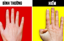 7 việc cực đơn giản nhưng nếu làm được, bạn đặc biệt hơn 90% dân số thế giới đấy