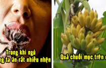 9 tin đồn thất thiệt từng được chia sẻ ầm ĩ trên mạng, đến giờ bạn vẫn tin đó là sự thật