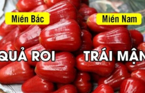 15 sự khác biệt vô cùng thú vị trong ngôn ngữ 2 miền Bắc - Nam