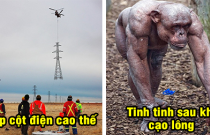 19 hình ảnh giải mã những điều bí ẩn trên thế giới mà chắc chắn nhiều người trong chúng ta đều đã từng thắc mắc
