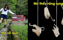 9 giấc mơ báo hiệu điềm gở mà ai cũng cần biết, thậm chí nguy hiểm tới bản thân