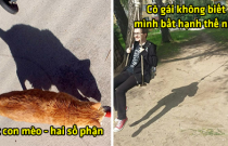 24 bức ảnh cho thấy bóng tối ập đến thì mọi thứ thay đổi, liệu đây mới là bản chất?