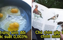 22 sự trùng hợp ngẫu nhiên bạn sẽ không bao giờ gặp lần thứ hai trong đời