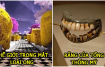 28 bức ảnh cực hiếm sẽ khiến bạn phải lặng người về thế giới mình đang sống