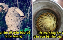 26 hình ảnh đáng sợ khiến bạn chột dạ khi kéo từng ảnh, yếu tim thì tốt nhất đừng xem