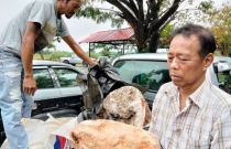 Nhặt cục đá sần sùi ngoài biển về, lão ngư nghèo bỗng đổi đời khi biết đó là 'báu vật biển cả'