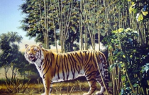 Thử thách tìm con hổ ẩn giấu trong tranh đánh lừa dân mạng