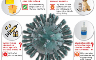 Những vấn đề cần hiểu đúng về virus Corona chủng mới