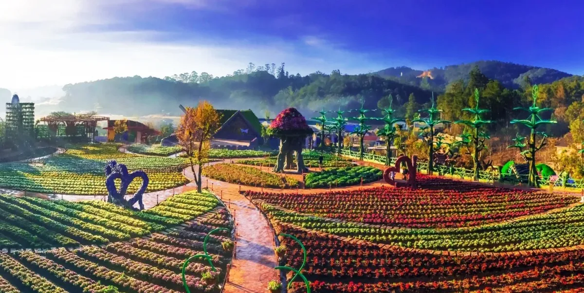 Đà Lạt - Thành phố ngàn hoa (Ảnh: Internet)