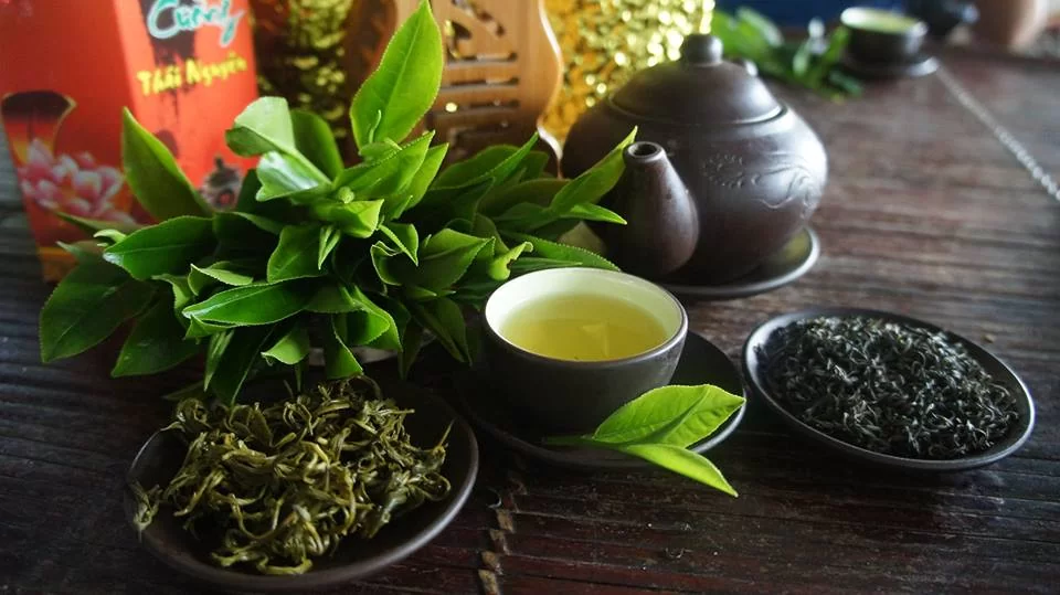 Chè Tân Cương là đặc sản nhất phải thưởng thức khi đi Thái Nguyên (Ảnh: Internet)