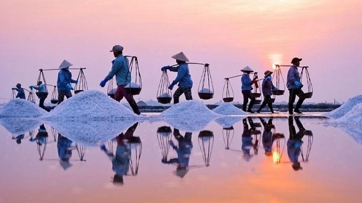 Cánh đồng muối Bạc Liêu (Ảnh: Internet)