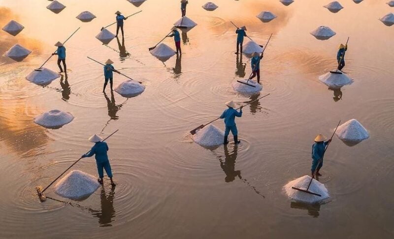Đồng muối Sa Huỳnh (Ảnh: Internet)