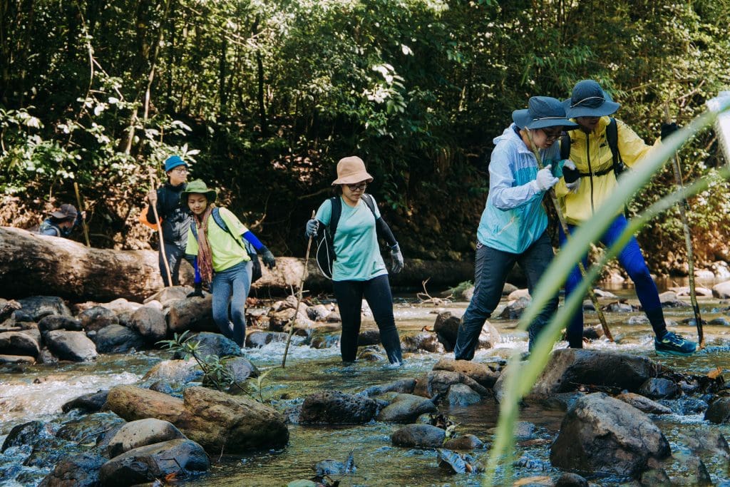 Trekking Vườn quốc gia Bù Gia Mập (Ảnh: Internet)