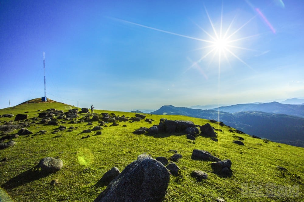 Trekking nhẹ Đồng Cao (Ảnh: Internet)
