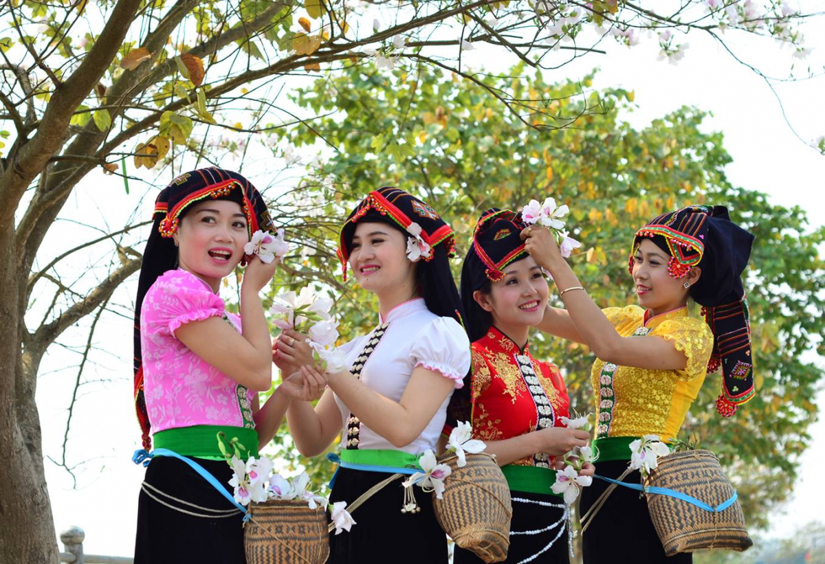 Hái hoa ban (Ảnh: Internet)