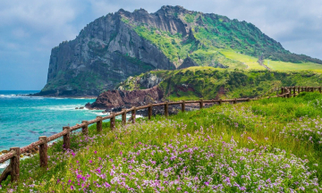 Tại sao đi đảo Jeju không cần visa?