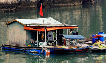 Làng chài Cống Đầm: Ngôi làng cổ kính giữa vịnh Hạ Long