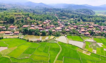 Du lịch Bản Che Căn Điện Biên: Trải nghiệm bản làng Thái giữa núi rừng Tây Bắc