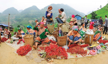 Chợ phiên Tả Sìn Thàng Điện Biên: Nét độc đáo của vùng cao